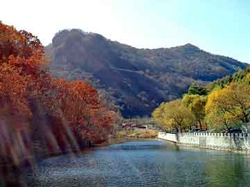 新澳天天开奖资料大全旅游团，布里坦妮·墨菲